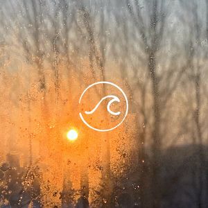 【随机信箱】新冠来信:离去的,痊愈的