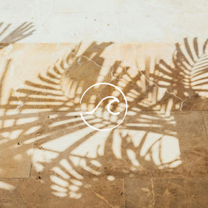 【随机波动】女人出门记怎么写