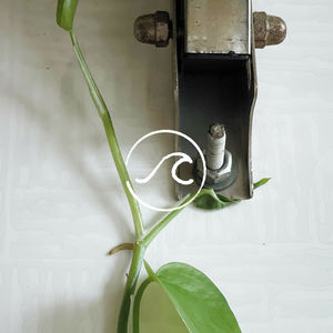 【随机波动100】摔倒了就躺一会儿