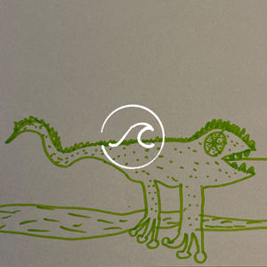 【随机波动146】不再为生育与否而害怕,不再因身为女性而愤怒