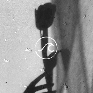 【随机波动】爱是一种决定,爱是一次努力