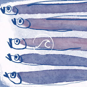 【随机波动077】萝卜白菜，的确可爱：田螺姑娘教你囤菜过年