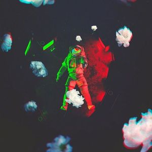 去看星看草看花看天空