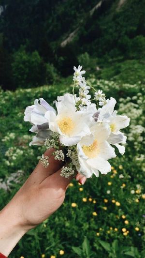 除你之外，世界倦怠无比