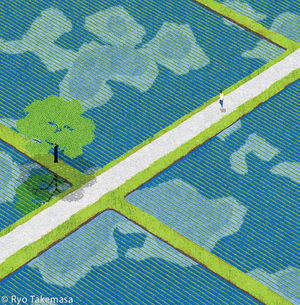 你和你还全然不自知的美丽