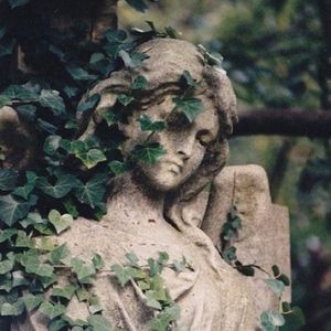 爱情的十四行诗