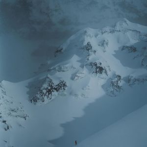 冬天找寻日落之鸟