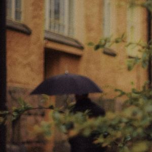 走向林间小路的最好时辰