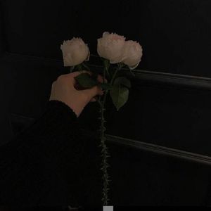 我们是古生物火把里的两朵火焰