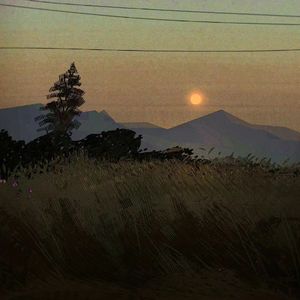 当火车经过山村，年轻人带着诗集远行