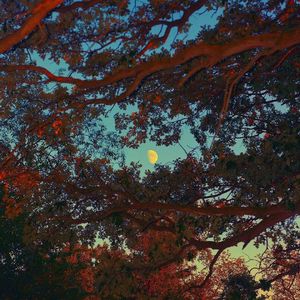 我没有在这里等待诗歌