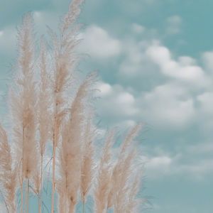 他穿着白衬衣，归来