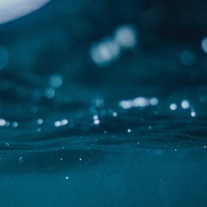 “昨夜灯光穿过雨水，落在海的城市”