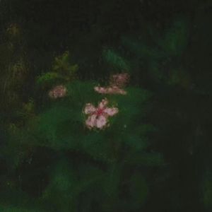 第一场春雨,化作我们刺身上的金箔