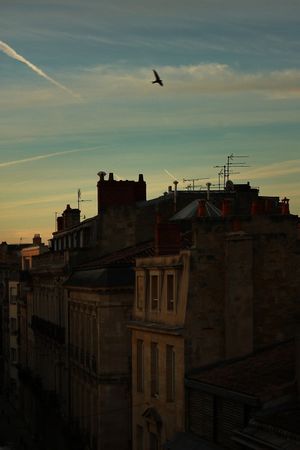 没有你 万般精彩皆枉然