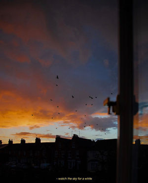 我为我分分秒秒疏漏万物向时间致歉