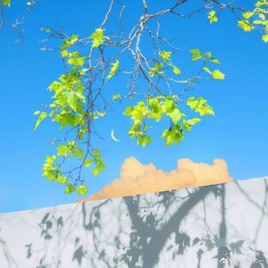 春风吹过旷野，无所忌惮