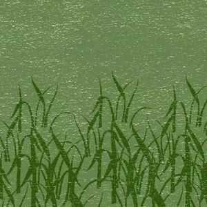 读书与写书，不过“狭路相逢”