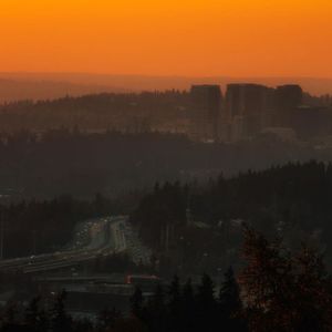 孤独就是在大地上四处流浪