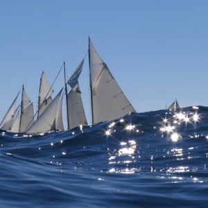 一定要 爱着点什么