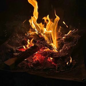 生命的暗火 从无尽过去 直向无尽未来