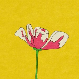 我渴望有人暴烈地爱我 至死不渝