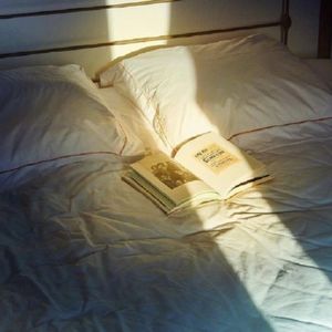 你身上沾满日落的味道