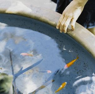 给你写信是世间最美好的事