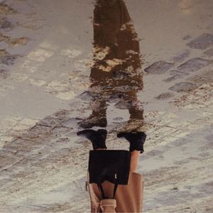 她给我寄来蓝松鸦，霜， 星星