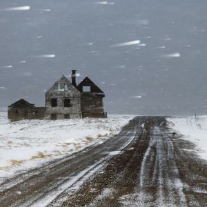 人们从十二月的深夜探出脑袋
