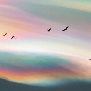 大地上万物皆有信使