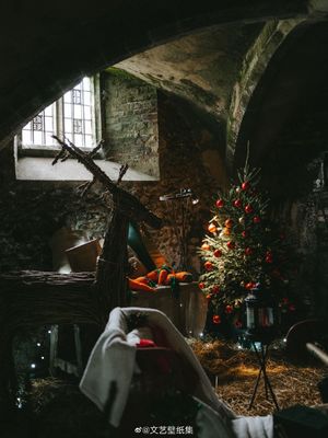 一年中最接近童话的日子 | 圣诞快乐