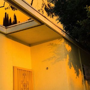 我们只身前往的北方落满金黄