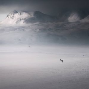 一颗心向你的手上下坠， 那是梦