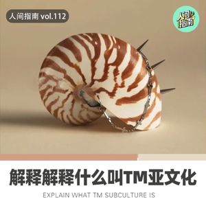 【人间杂谈】你给我解释解释，什么叫TM亚文化！