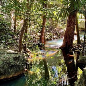 vol.29 夏天,会发生一切美好的事