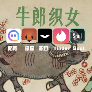 vol.7 在被贴上YP标签的交友软件上找真爱,是天真吗?