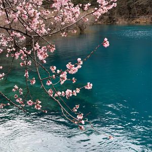 vol.59 不囿于工位的三月，才真正看到春天