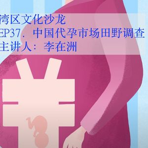 Ep. 037  代孕面面观四, 李在洲:中国代孕市场田野调查【湾区文化沙龙 X 纽约文化沙龙】
