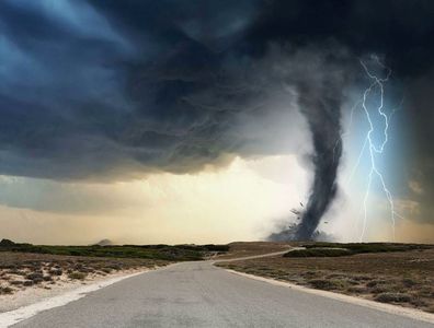 说好的总统宝座呢？怎么下了场雨就没了？｜心理朋克 No.009