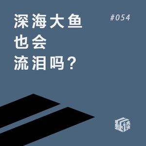EP.56 海水为什么是咸的？这个答案万万没想到！