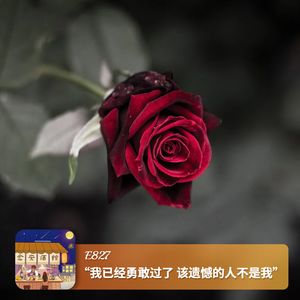 “我已经勇敢过了,该遗憾的人不是我”