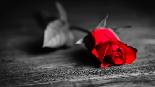 可不可以，和你在一起？