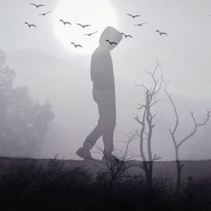 希望熬过孤独的你，能活成自己喜欢的样子