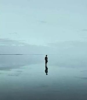 我终于不再主动找你了