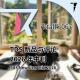 #067 TDS 新品与评论 2026 年中刊
