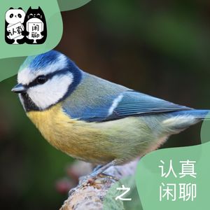Vol.135【认真闲聊】不负韶华，静赏当下：二月（2.1-2.7）