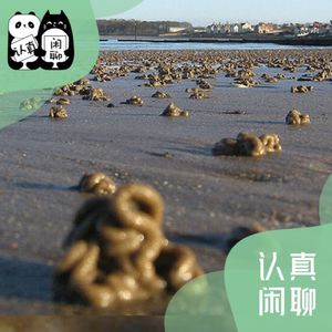Vol.094【认真闲聊】揭开鱼饵海蚯蚓背后的高科技与狠活儿