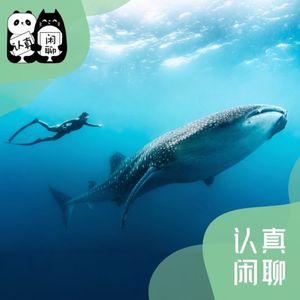 Vol.073【认真闲聊】当我们谈论自由潜水的时候我们在谈些什么