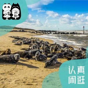 第61期 走,去Norfolk看海豹!